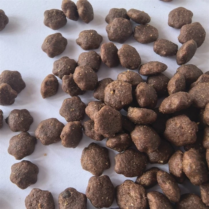 Cat Dry Food Pet Food high quality